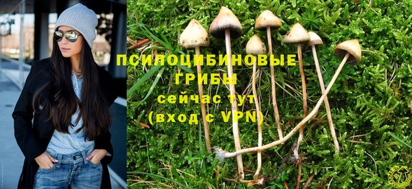 apvp Балахна