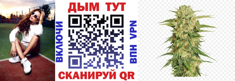 где купить наркоту  Лениногорск  Каннабис сатива 